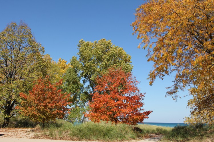 Gillson Park, Wilmette